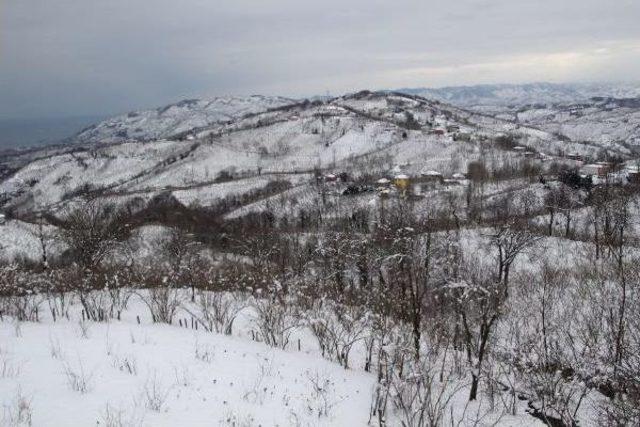 Ordu’Da 313 Mahalle Yolu Kardan Ulaşıma Kapandı