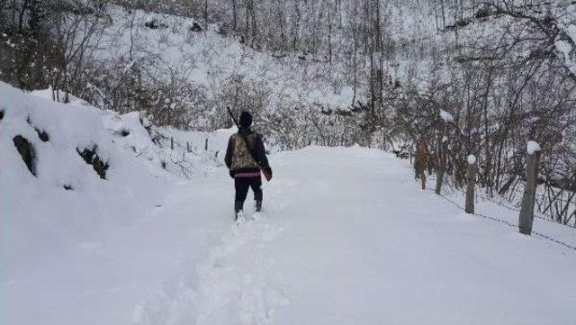 Ordu’Da 313 Mahalle Yolu Kardan Ulaşıma Kapandı