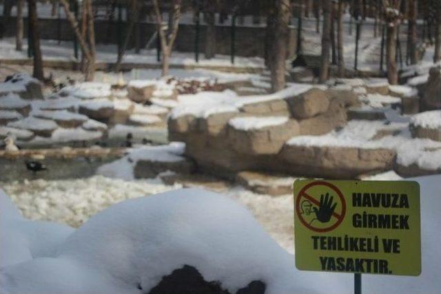 Kayseri’de Göller Buz Tuttu