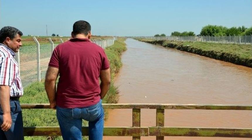 Dicle Elektrik İsrafı Fotoğrafladı
