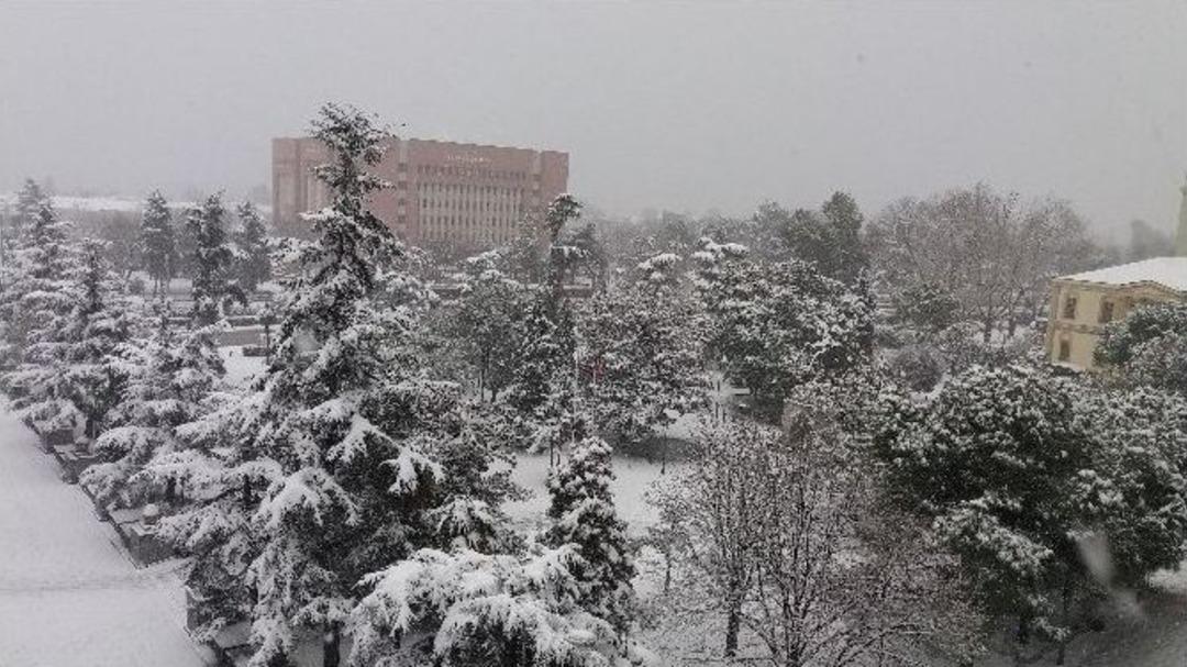 Karla Gelen G&uuml;zellik Ve &Ccedil;ile