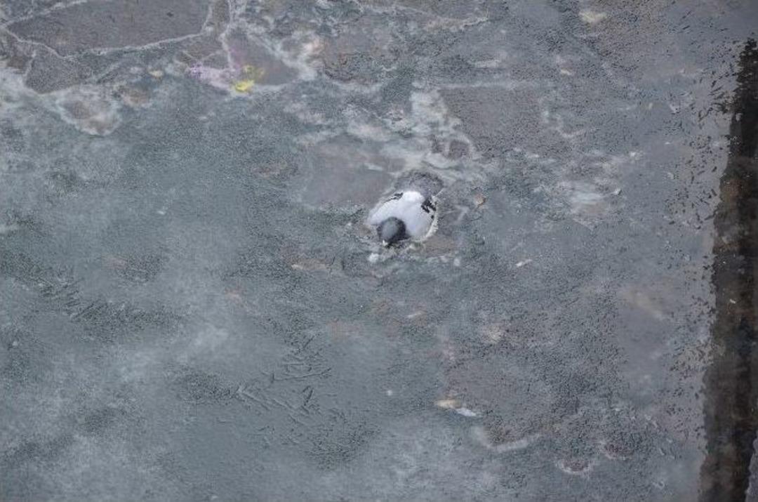 Y&uuml;rek Burkan G&ouml;r&uuml;nt&uuml;