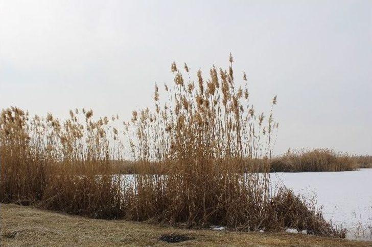 Başkentin Ayazı Sibirya’yı Aratmıyor G2