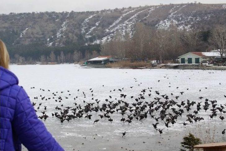 Başkentin Ayazı Sibirya’yı Aratmıyor G4