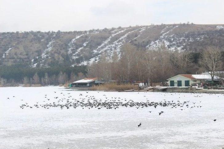 Başkentin Ayazı Sibirya’yı Aratmıyor G5
