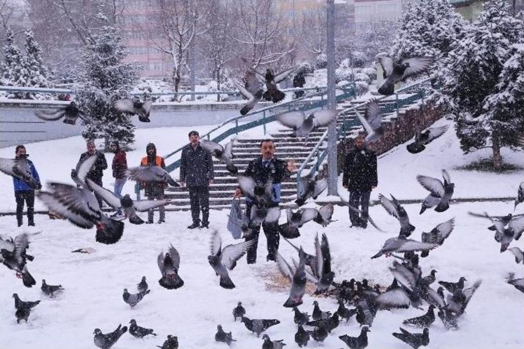 İlkadım Belediyesi Sokak Hayvanlarını Unutmadı