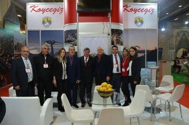 Köyceğiz Emıtt 2017 Turizm Fuarında Tanıtıldı