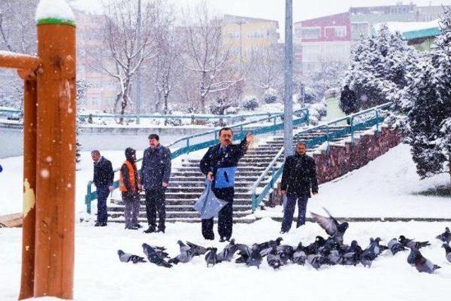 Sokak Hayvanları Için Yem Ve Mama Bırakıldı