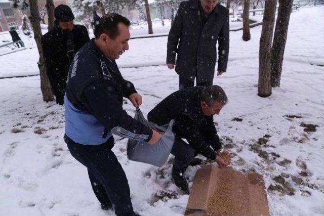 Sokak Hayvanları Için Yem Ve Mama Bırakıldı