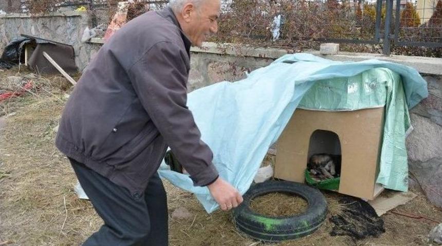 Uşaklı Emekli &Ouml;ğretmen &rsquo;yemek &Ccedil;&ouml;pe Gitmesin&rsquo; &Ccedil;ağrısı