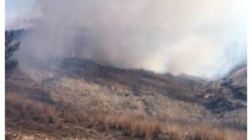 Kozan&rsquo;da Orman Yangını