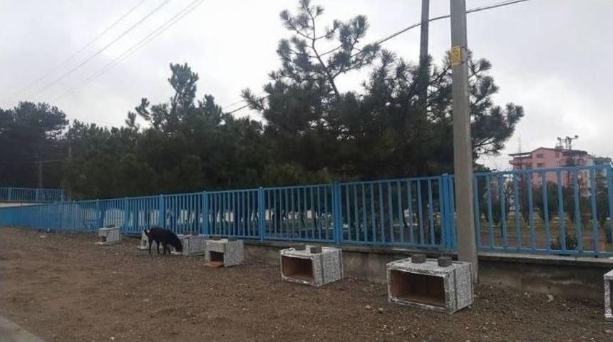 Gen&ccedil;lik Merkezi Sokaktaki Canları Unutmadı