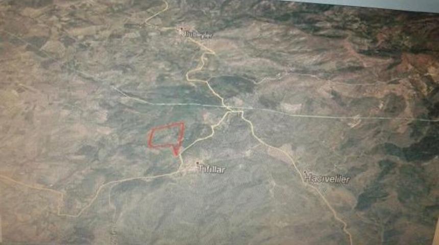 Maden Şirketine 'zeytin Alanı' Engeli