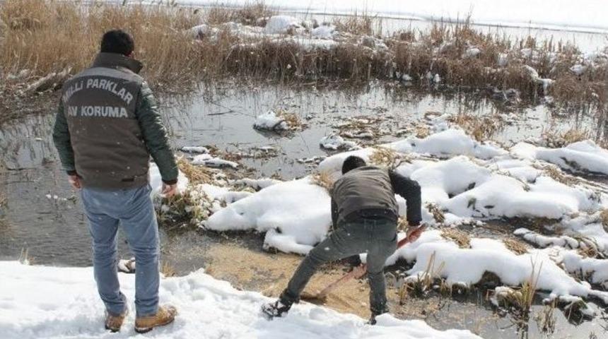 Van&rsquo;da Yaban Hayvanlarına Yem Desteği