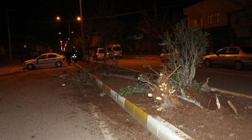 Ref&uuml;jdeki Ağa&ccedil;ları S&ouml;kerek Durabildi