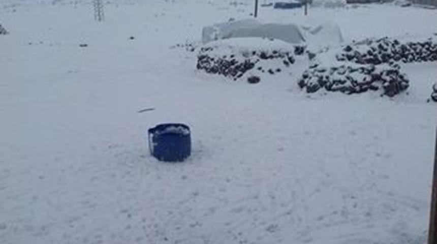 Viranşehir Kar Yağışı Etkili Oluyor