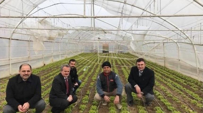 Karda Hasar G&ouml;rm&uuml;ş Sera Ve Y&uuml;ksek T&uuml;nellerde İnceleme