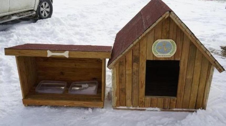 Sokak Köpekleri  Beslenme Yerleri Hazırlandı