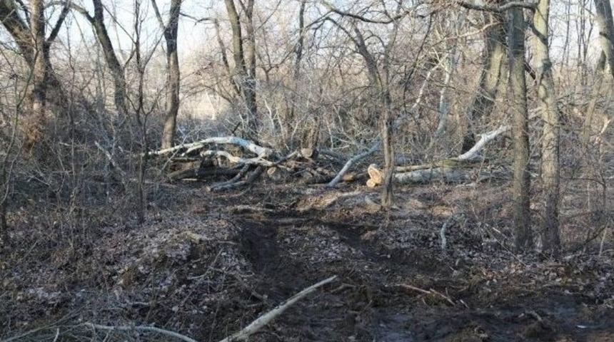 Kontrols&uuml;zce Ağa&ccedil; Kesenlere Su&ccedil; Duyurusu