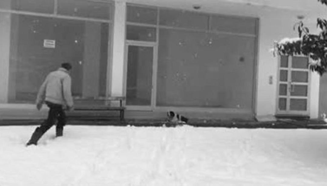 Montunu &Ccedil;ıkartıp K&ouml;peğin &Uuml;zerini &Ouml;rtt&uuml;