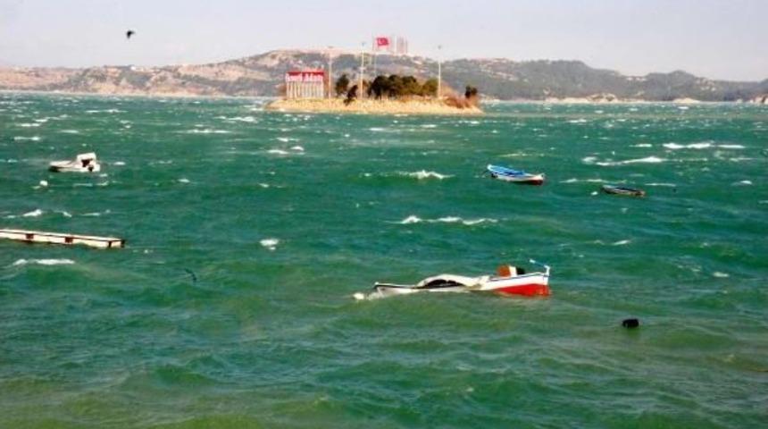 Adana'da Fırtına Ağaçları Devirdi