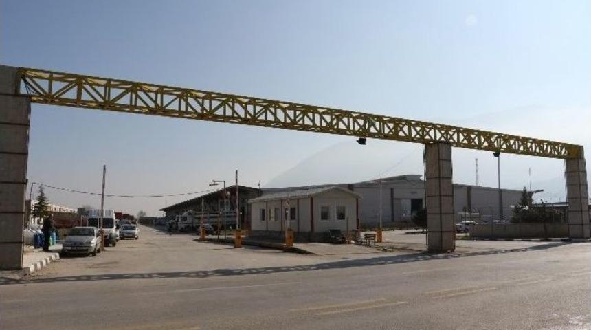 Sebze Ve Meyve Halinde Yenileme &Ccedil;alışması