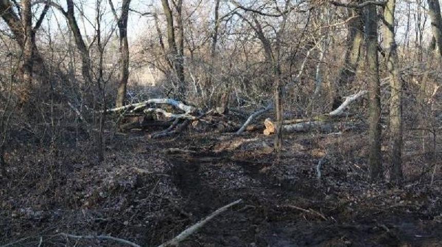 Edirne'de Ka&ccedil;ak Ağa&ccedil; Kesimine Su&ccedil; Duyurusu