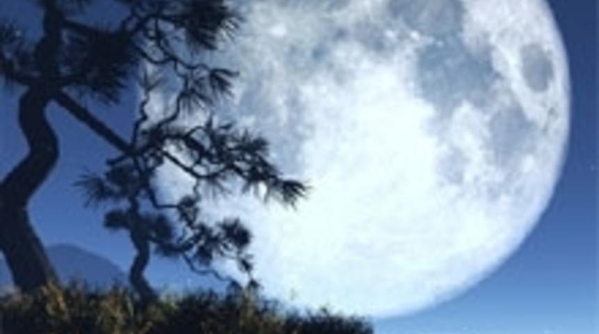 Cinsiyet Belirlemeyle İlgili Kocakarı Efsaneleri