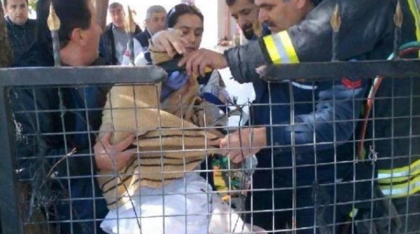Balkondan D&uuml;şen Kadın Eline Ve Ayağına Demir Saplandı