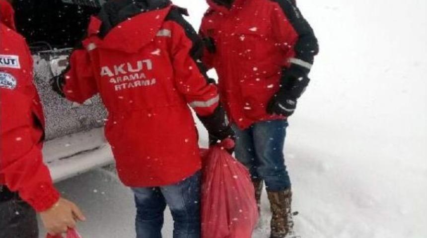 Bing&ouml;l Akut Ekibinden Yaban Hayvanlarına Destek