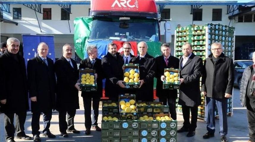 Hollandalılar Bursa Ayvası&rsquo;nı Yiyecek