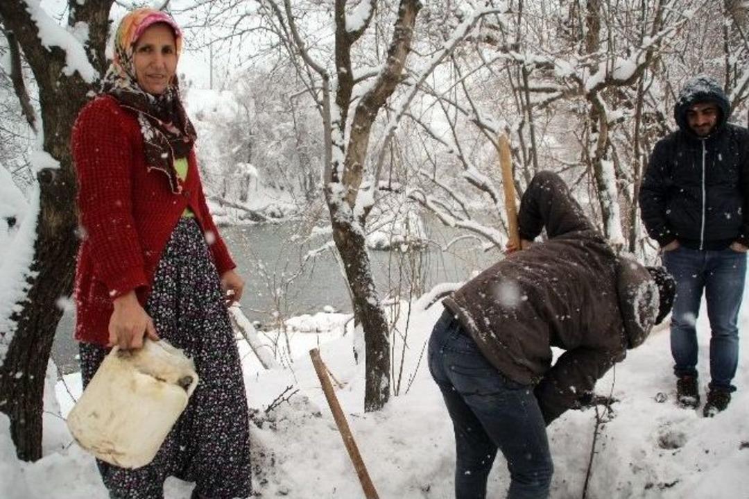 Kışlık Tatlar Kar Altından &Ccedil;ıkarıldı