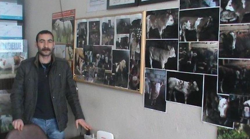 Malazgirt&rsquo;te Suni Tohumlamaya Yoğun İlgi