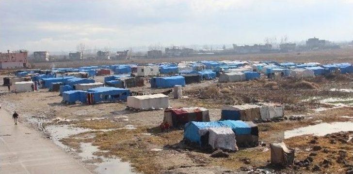 Savaşta Ağabeylerini Kaybetti, 5 Çocuğuyla Adana’ya Sığındı G4