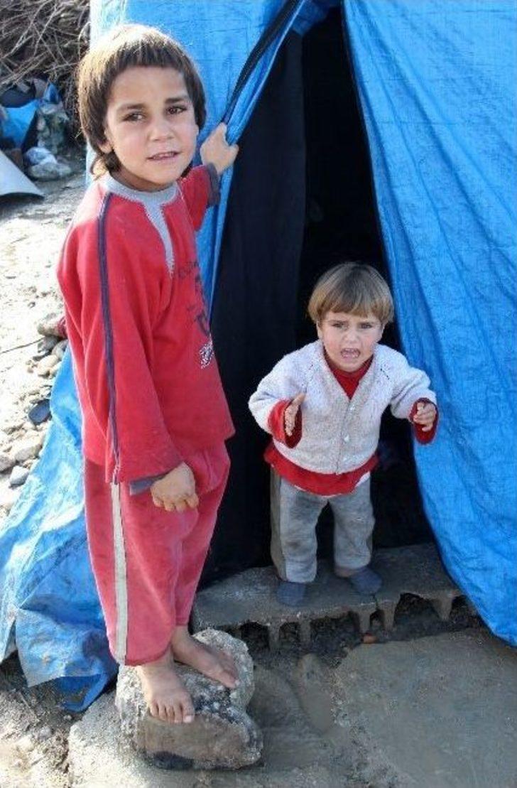 Savaşta Ağabeylerini Kaybetti, 5 Çocuğuyla Adana’ya Sığındı G5