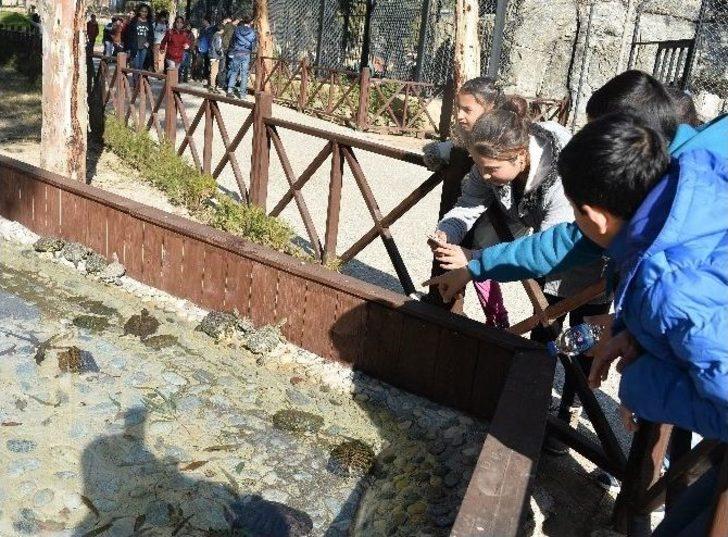 Çocukların "osman Amcası" 500 Çocuğu Hayvanat Bahçesine Götürdü G2