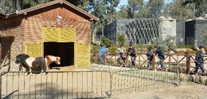 Çocukların "osman Amcası" 500 Çocuğu Hayvanat Bahçesine Götürdü G3