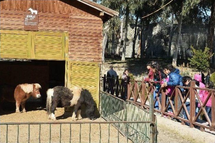 Çocukların "osman Amcası" 500 Çocuğu Hayvanat Bahçesine Götürdü G4