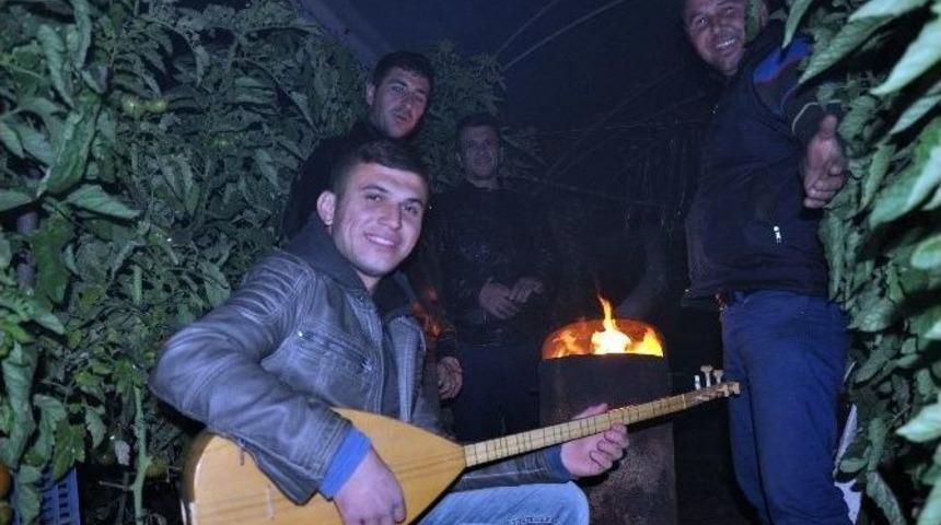 Sazlı S&ouml;zl&uuml; Zirai Don N&ouml;beti