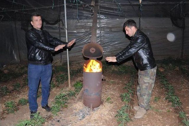 Sazlı Sözlü Zirai Don Nöbeti