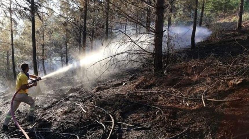 Adana&rsquo;da Ge&ccedil;en Yıl &Ccedil;ıkan Yangınlarda 146 Hektar Orman Zarar G&ouml;rd&uuml;