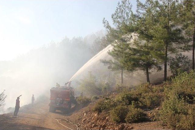 Adana’da Geçen Yıl Çıkan Yangınlarda 146 Hektar Orman Zarar Gördü