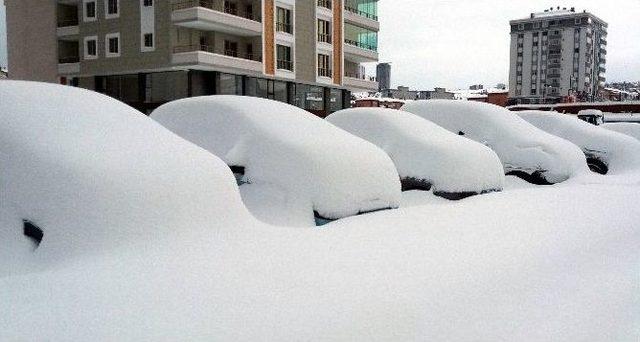 Doğu Değil Samsun 1