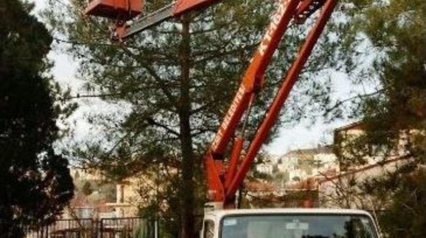 İzmit&rsquo;te Yeşil Alanlar Budanıyor