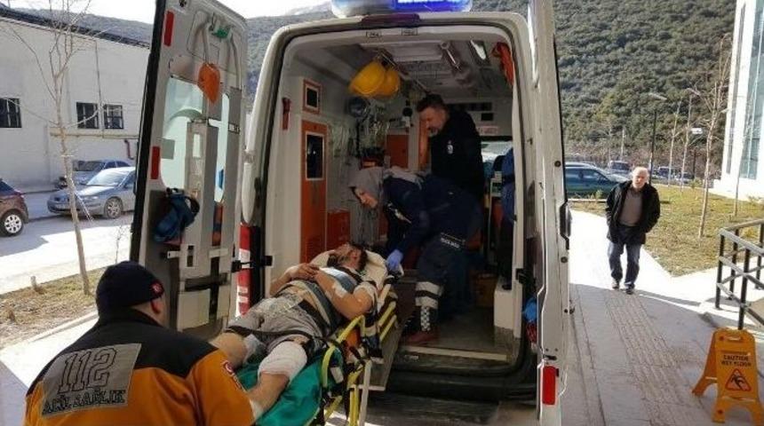 Zeytin Fidanı &Ccedil;alan Kardeşleri Uyarınca T&uuml;fekle Vuruldu