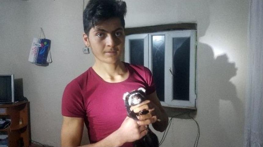 Soğuktan Ka&ccedil;an Kokarca K&ouml;y&uuml;n Neşesi Oldu