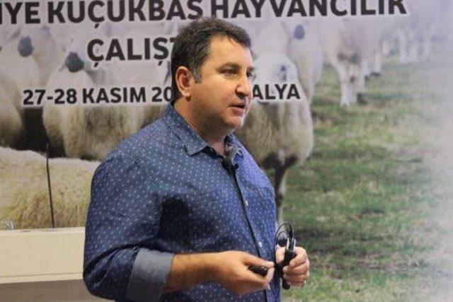 &Ccedil;anakkale Birlik ten "afgan &Ccedil;oban" &Ouml;nerisi 1