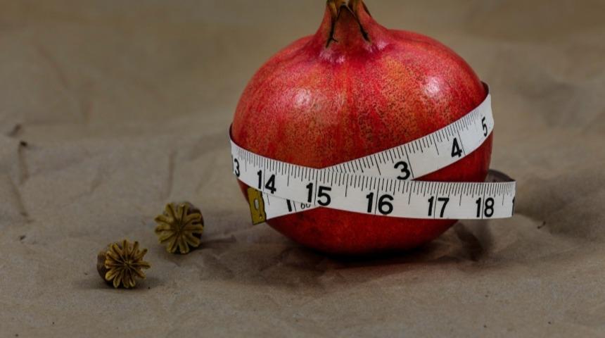 Emzirirken Atkins Diyeti Uygulanır Mı?