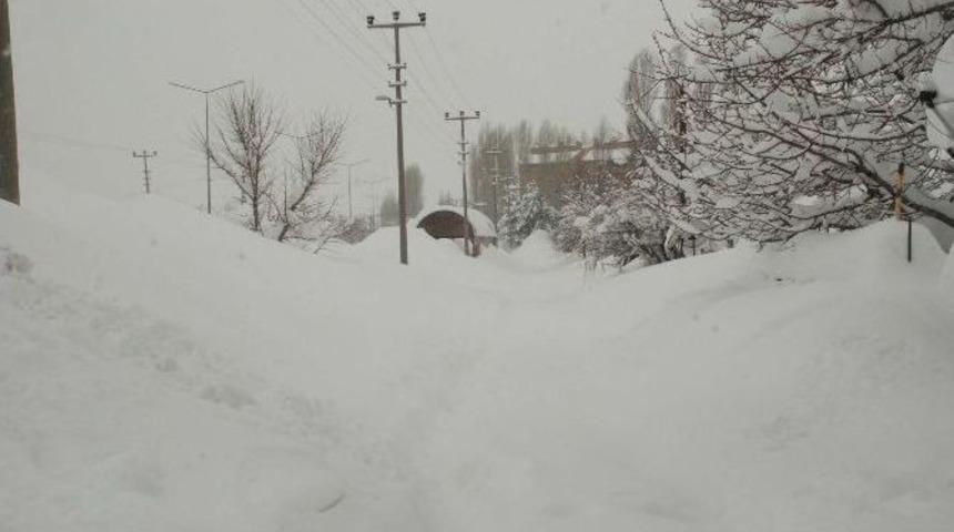 Bitlis’te 257 Köy Yolu Ulaşıma Kapandı
