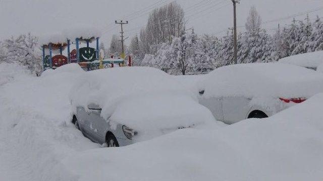 Bitlis’te 257 Köy Yolu Ulaşıma Kapandı